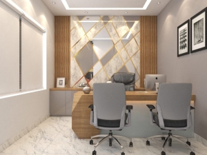 Creating Professional Spaces: Office Renovation Solutions 